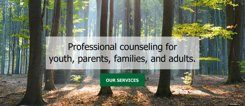 Professional counseling for youth, parents, families, and adults